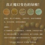 Men's Agarwood Buddha Bead Bracelet - 图片 3